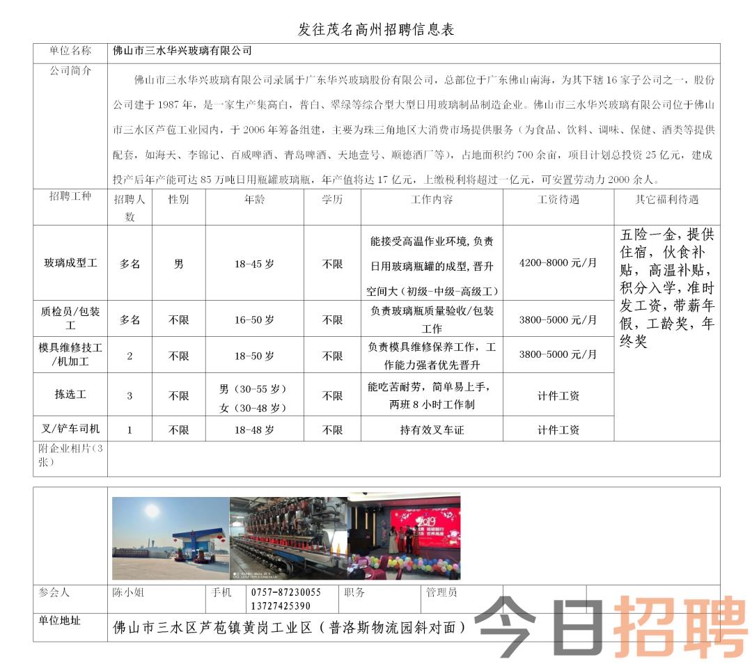 云浮市新兴县招聘动态更新与职业机会深度探讨